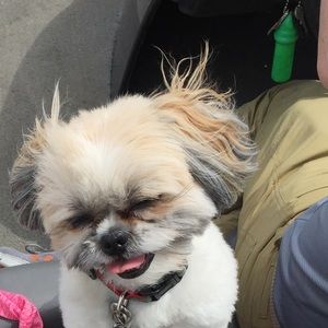 Meet your Posher, Becky